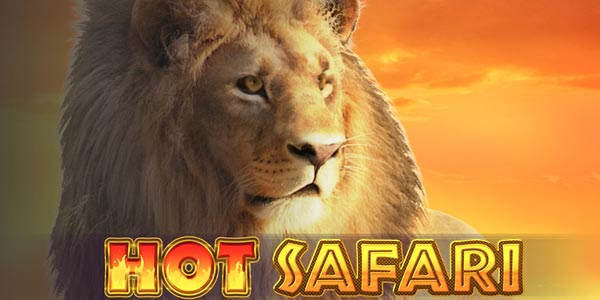hot-safari-slot-online